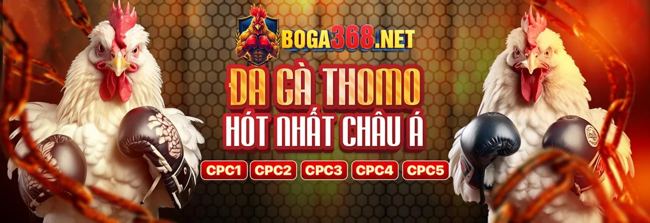 Tin tức thị trường cá cược b789 nhà cái